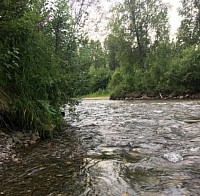 Montana Creek, Alaska